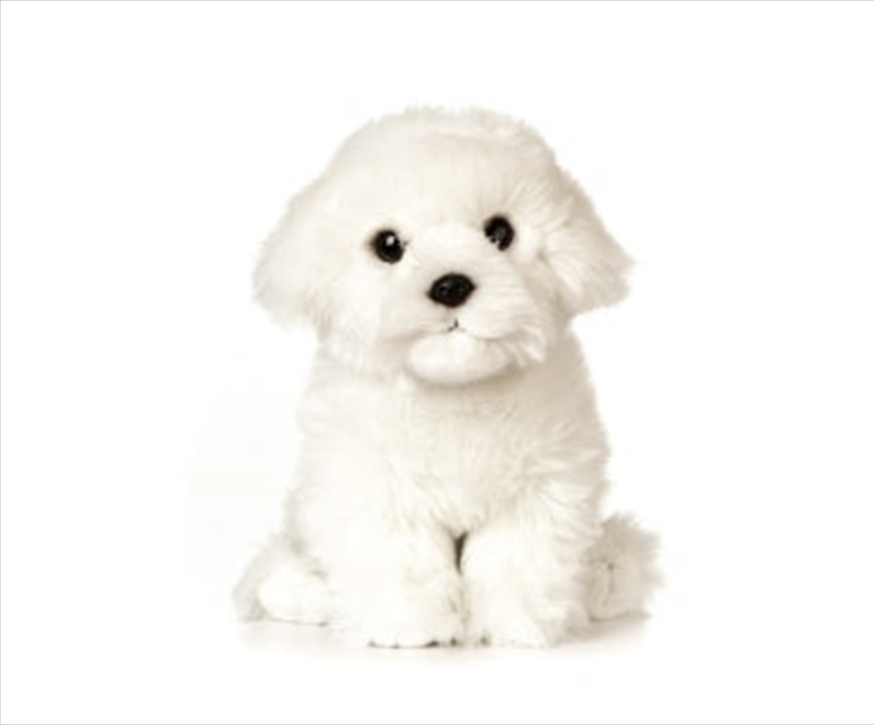 Maltese Puppy | Toy
