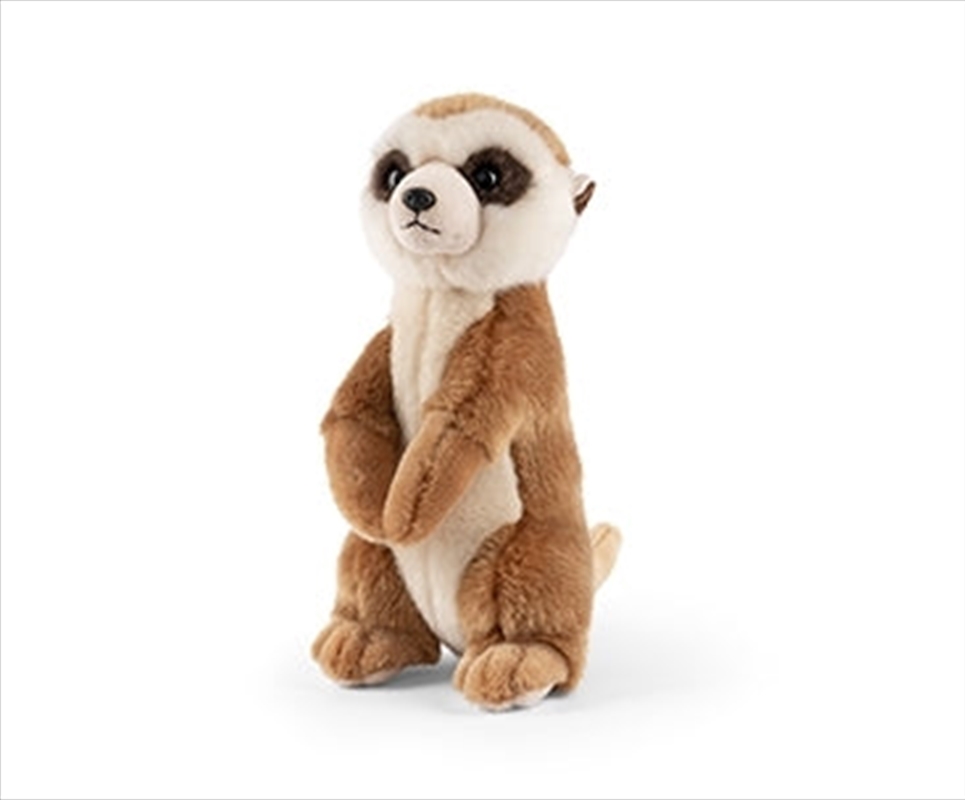 Meerkat/Product Detail/Plush Toys