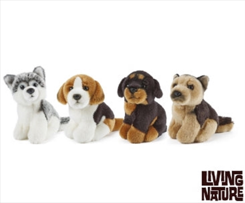 Miniature Dogs Assorted 14cm/Product Detail/Plush Toys