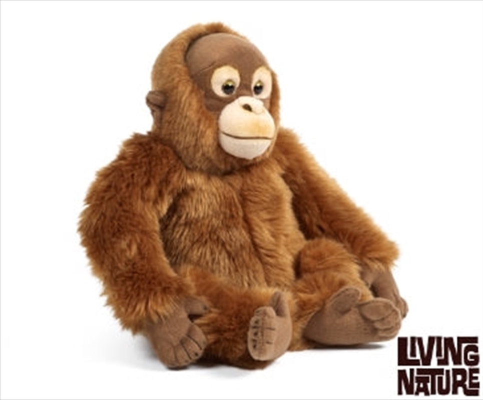 Orangutan 30cm/Product Detail/Plush Toys