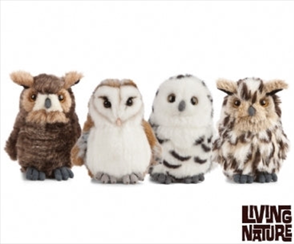 Owls 4 Assorted 13cm | Toy