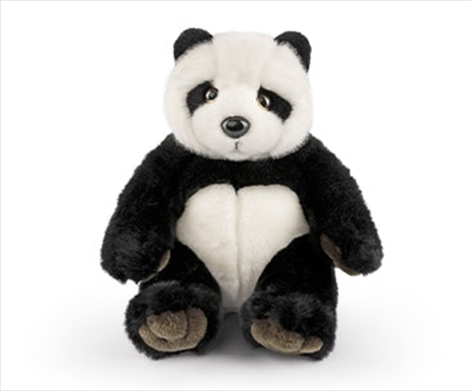Panda With Sound | Toy