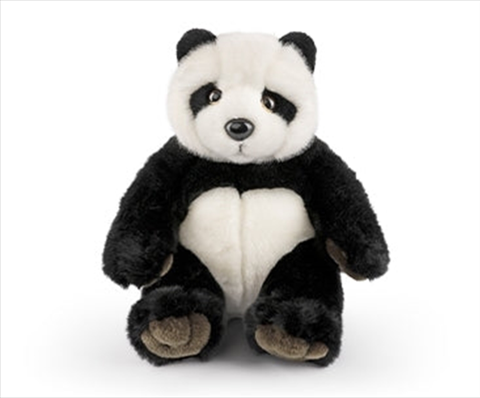 Panda With Sound/Product Detail/Plush Toys