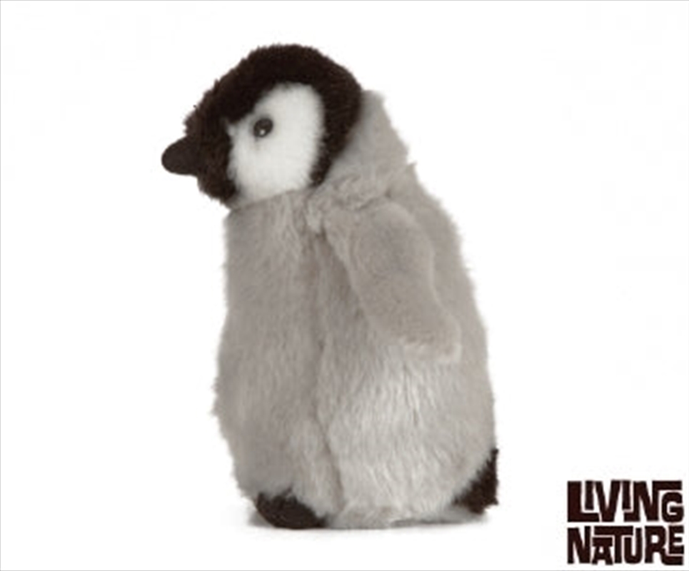 Penguin Chick/Product Detail/Plush Toys