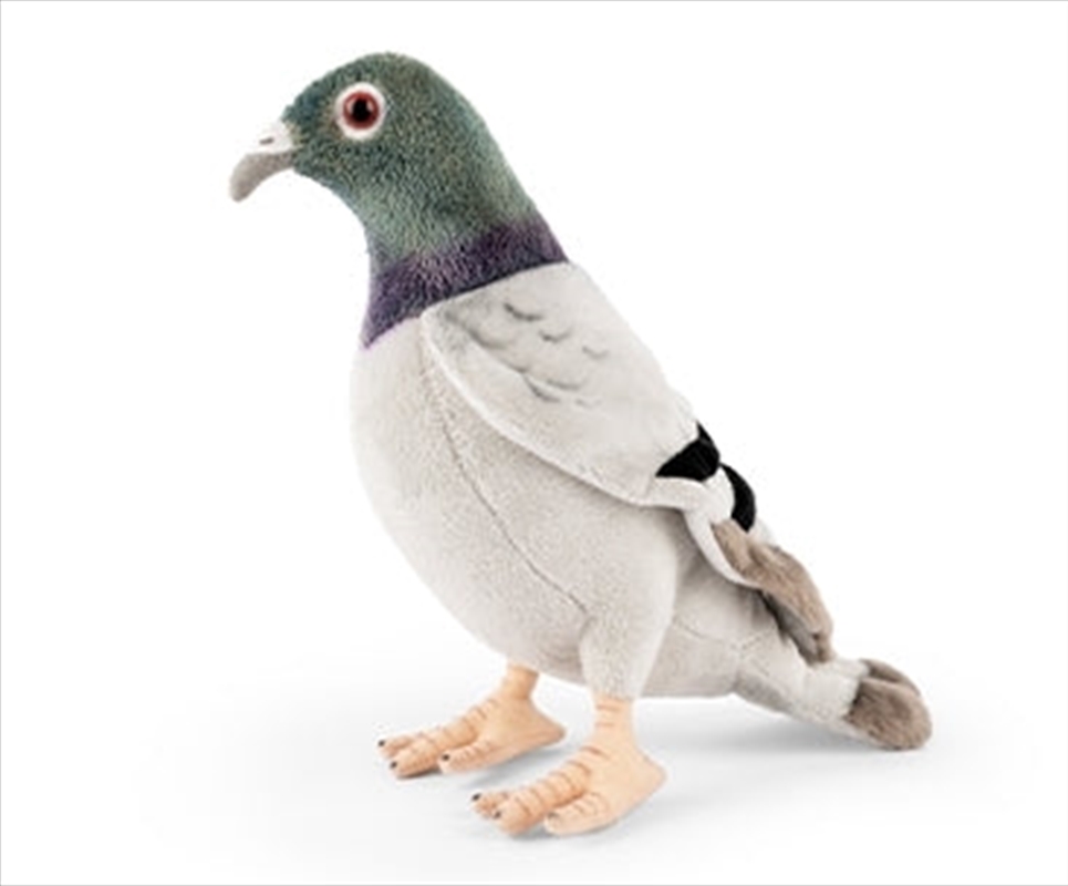 Pigeon | Toy