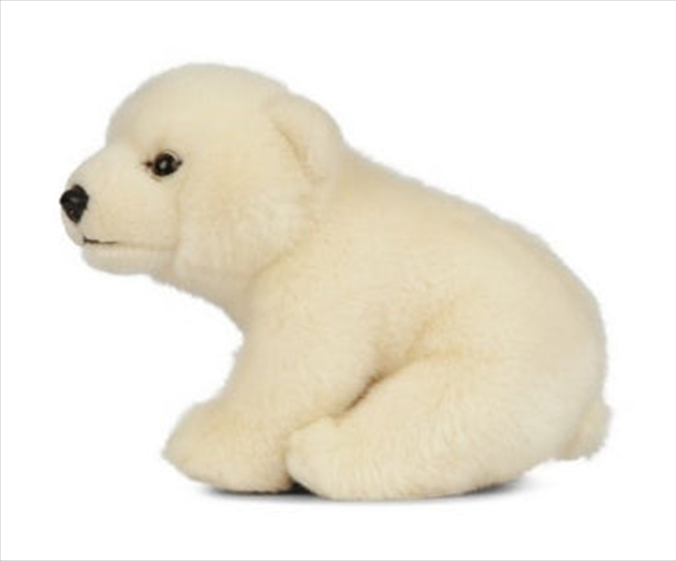 Polar Bear Cub Sitting 30cm | Toy