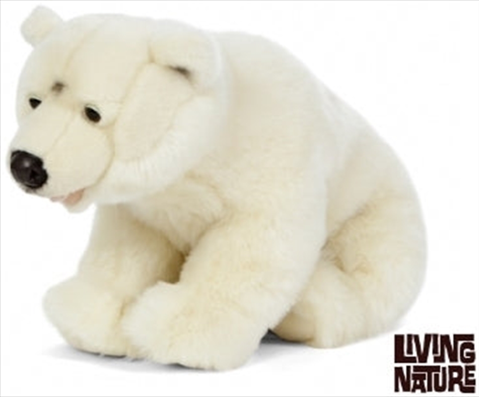 Polar Bear Large/Product Detail/Plush Toys