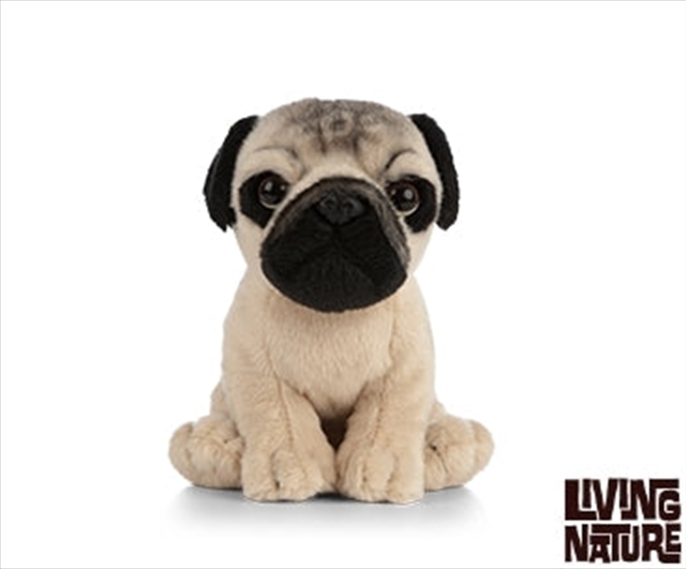 Pug Puppy 16cm/Product Detail/Plush Toys