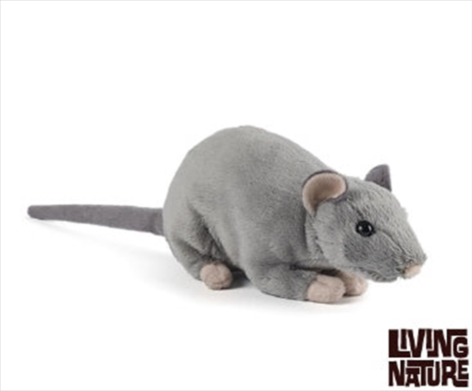 Rat With Squeak 30cm | Toy