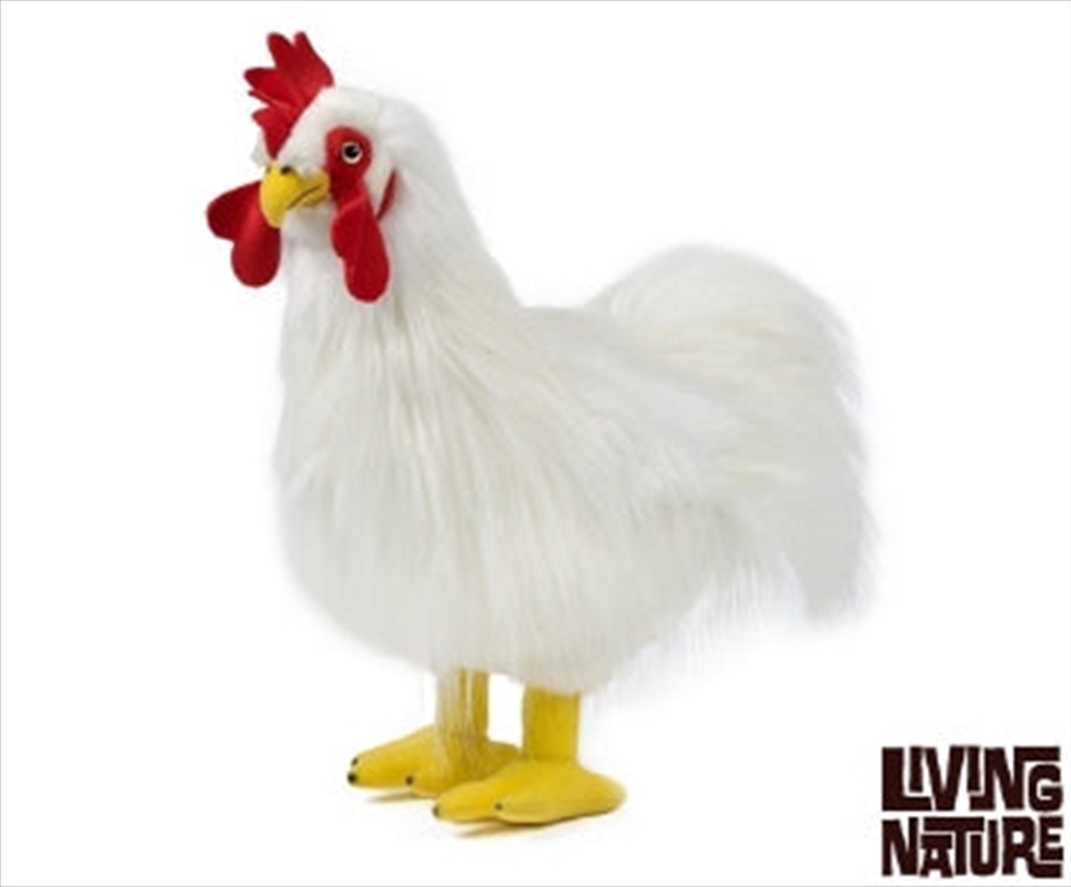 Rooster Large 35cm | Toy