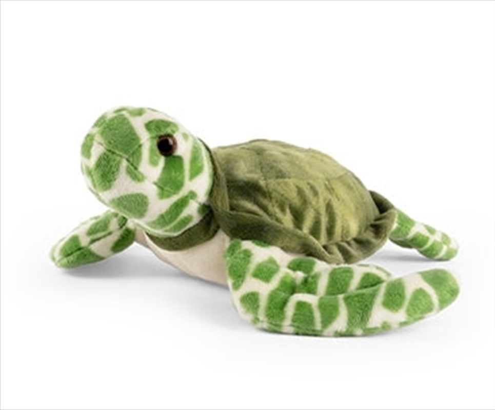 Sea Turtle | Toy