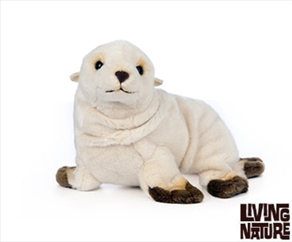Sealion Pup 28cm/Product Detail/Plush Toys