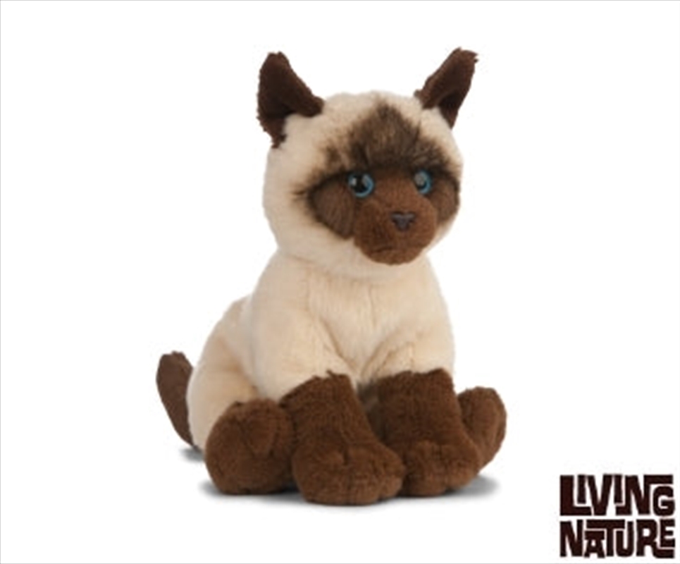 Siamese Cat 20cm/Product Detail/Plush Toys
