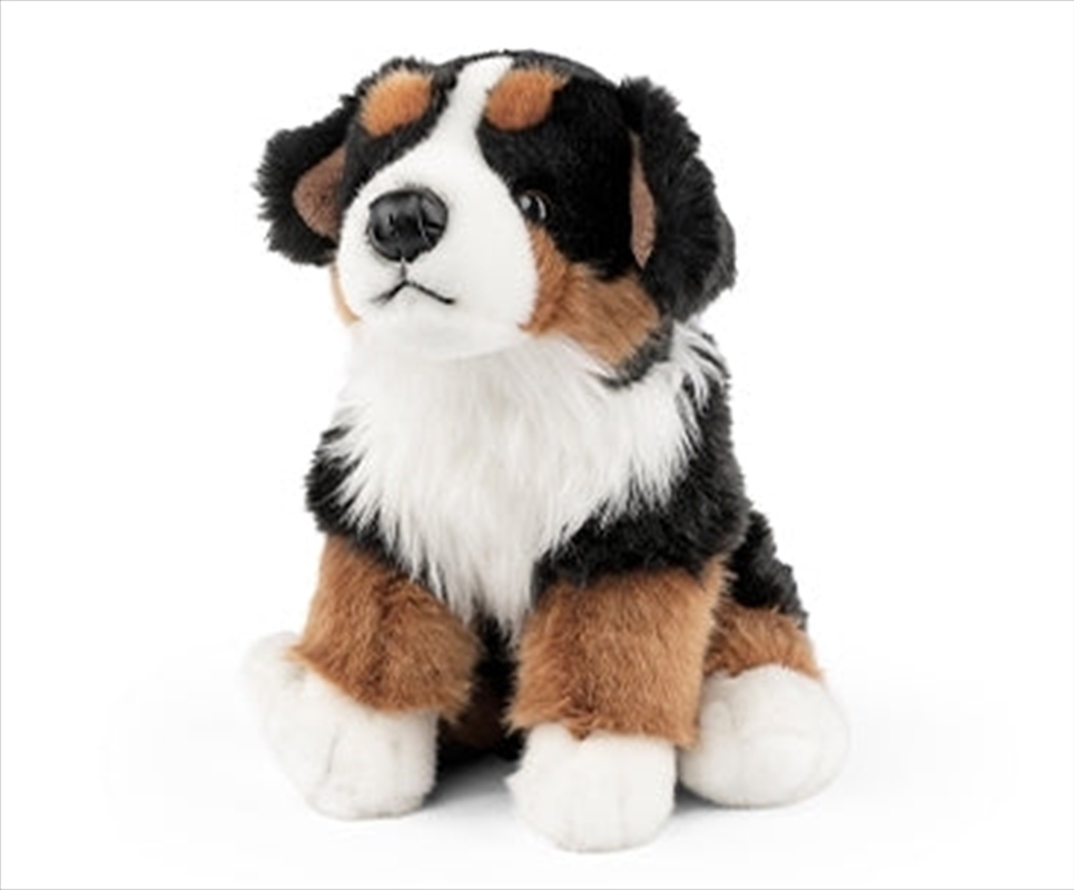 Sitting Bernese Mountain Dog/Product Detail/Plush Toys