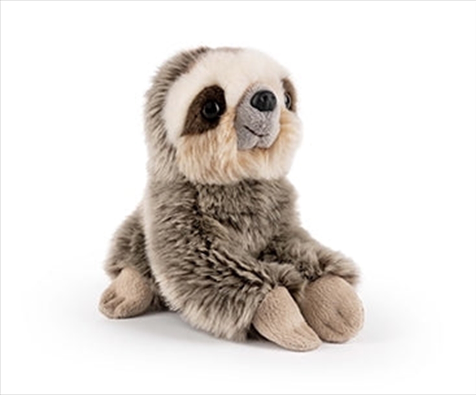 Small Sloth/Product Detail/Plush Toys