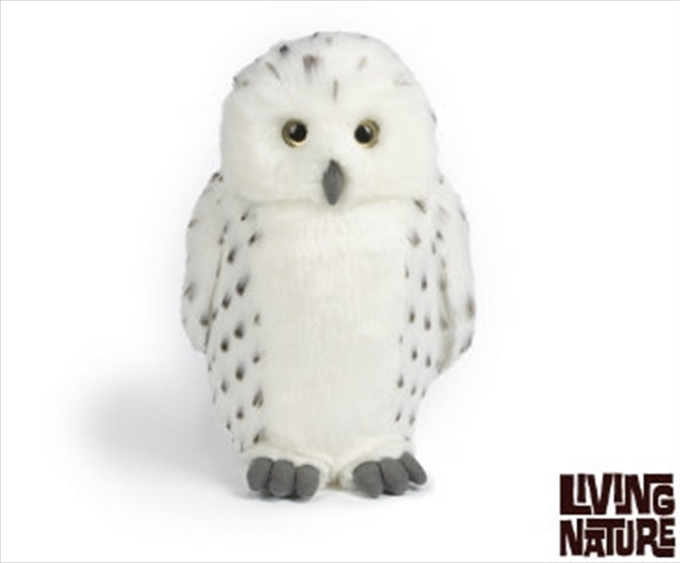Snowy Owl Large 30cm/Product Detail/Plush Toys