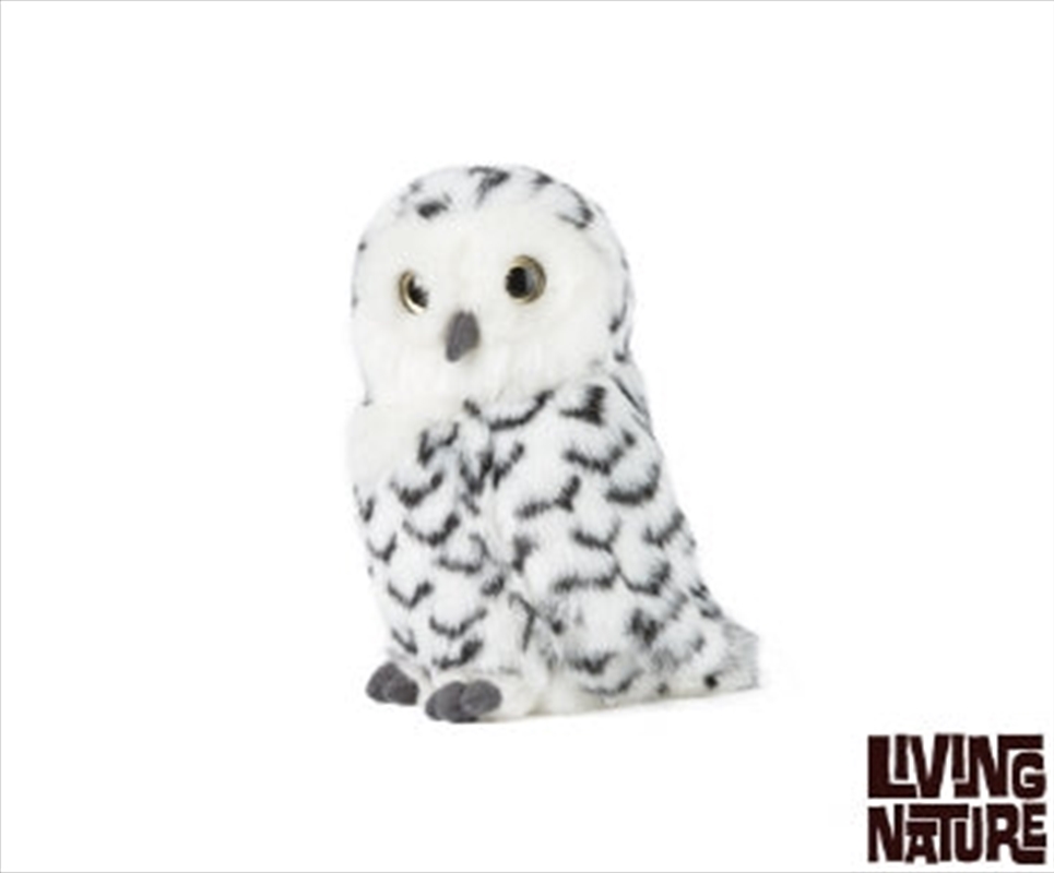 Snowy Owl With Turning Head | Toy