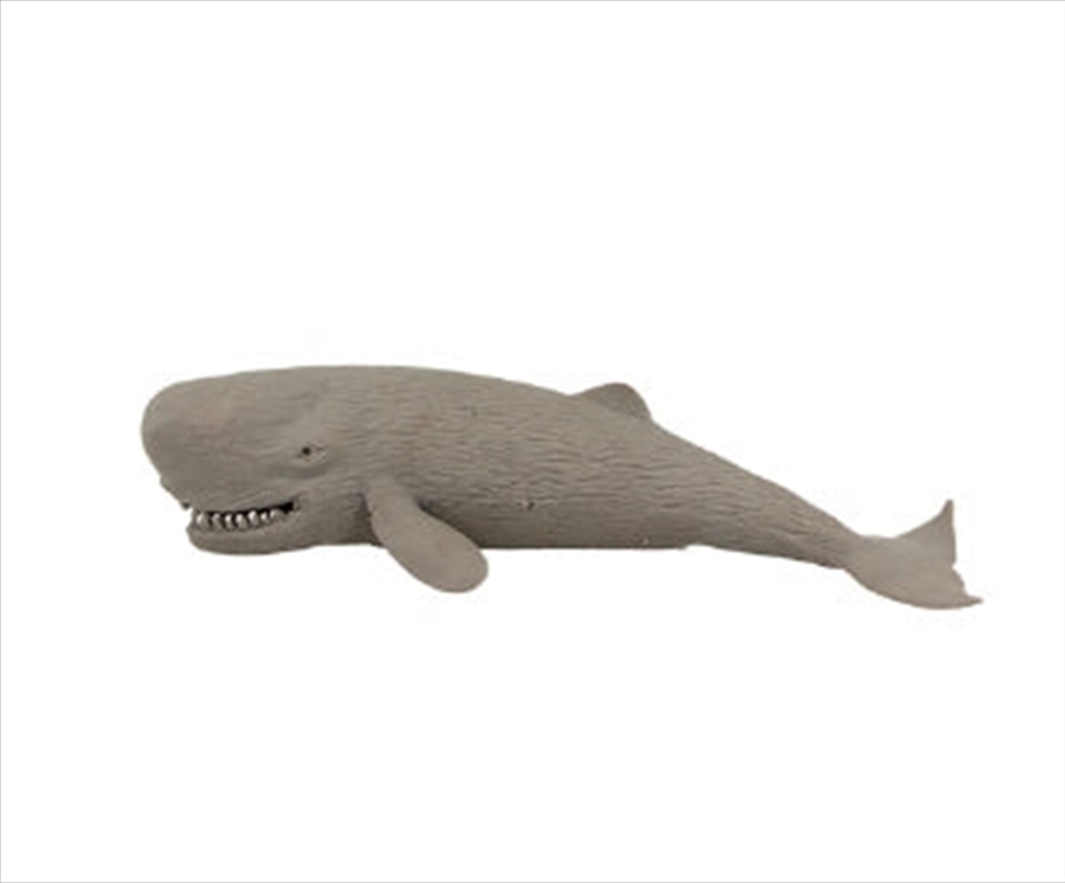 Sperm Whale 17cm | Toy
