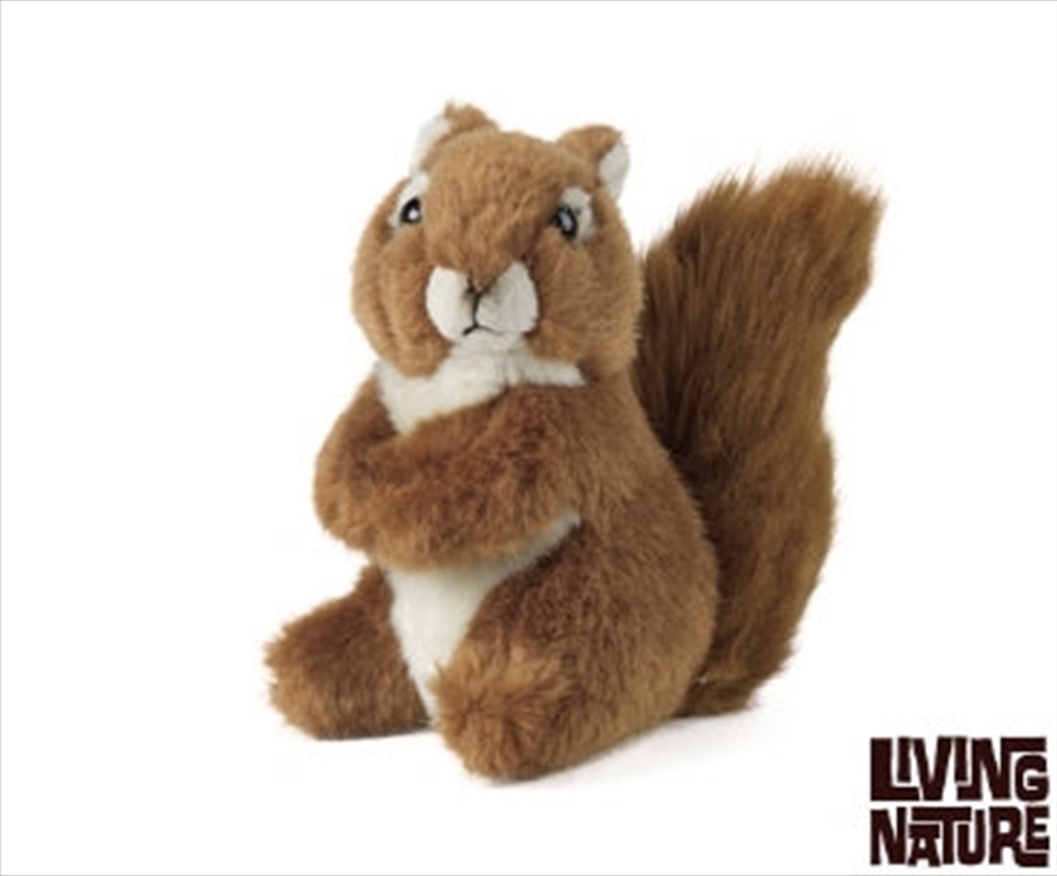 Squirrel Medium 14cm | Toy