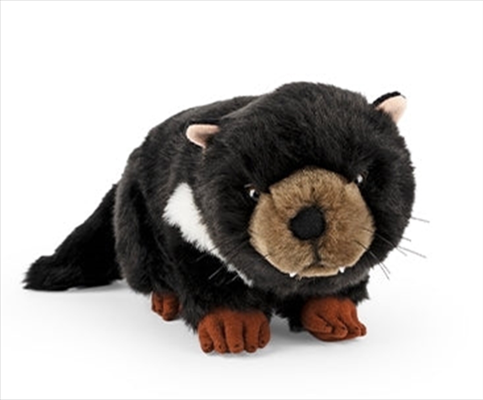 Tasmanian Devil/Product Detail/Plush Toys