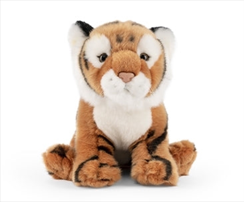 Tiger With Sound/Product Detail/Plush Toys
