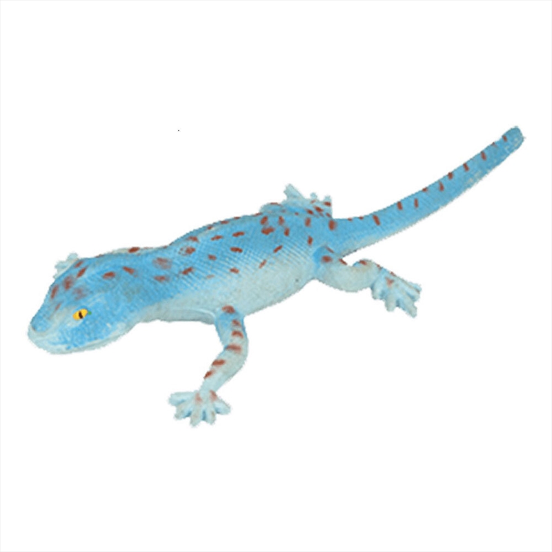 Tokay Lizard 25cm | Toy