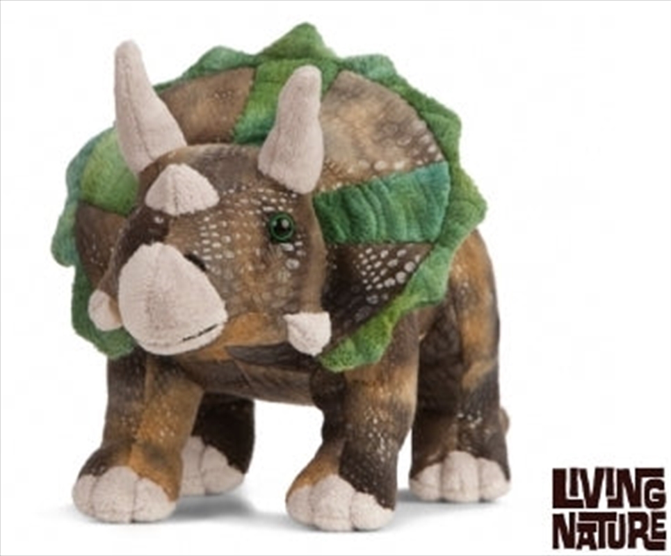 Triceratops 25cm | Toy