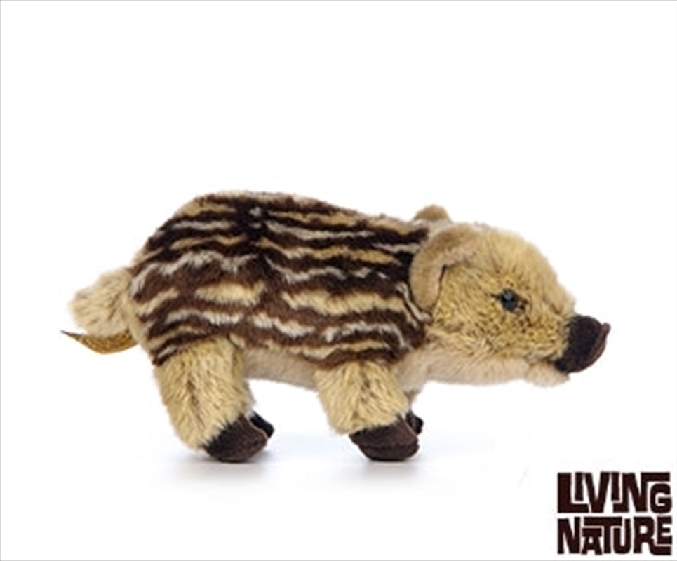 Wild Boar Piglet 20cm | Toy