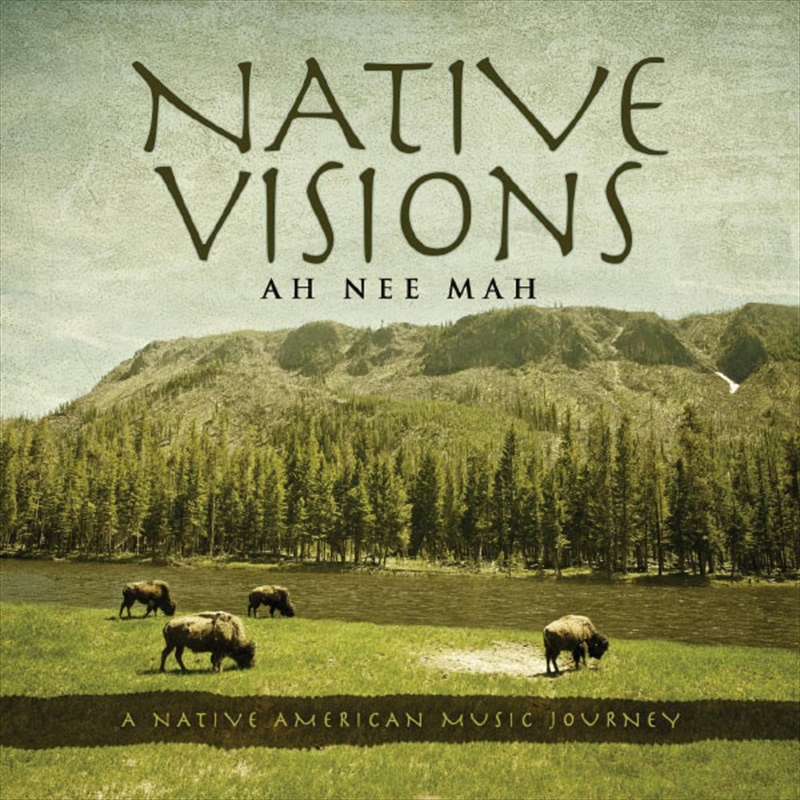 Native Visions: A Native American Music Journey/Product Detail/Instrumental