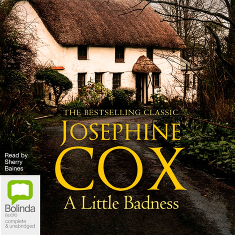 A Little Badness/Product Detail/Historical Fiction
