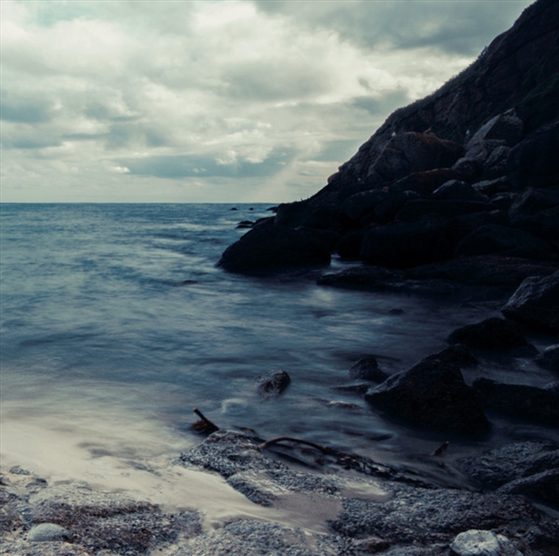 Cry Of The Ocean/Product Detail/Rock/Pop