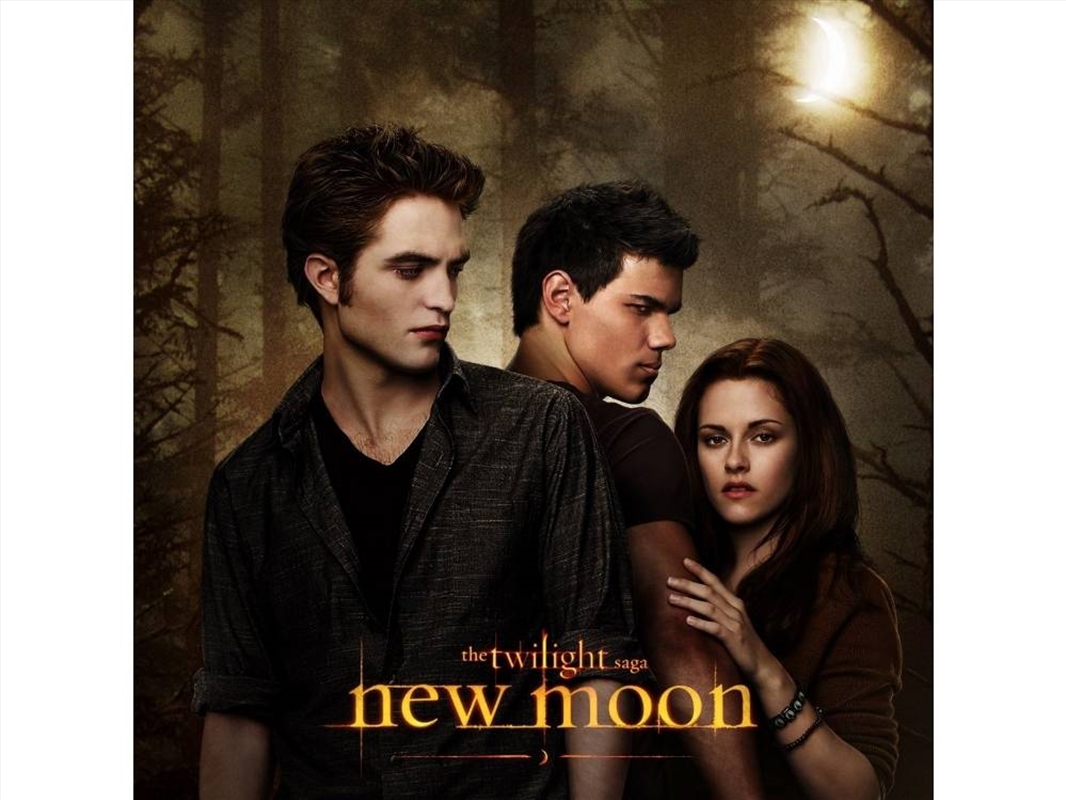 Twilight New Moon Board Game/Product Detail/Board Games