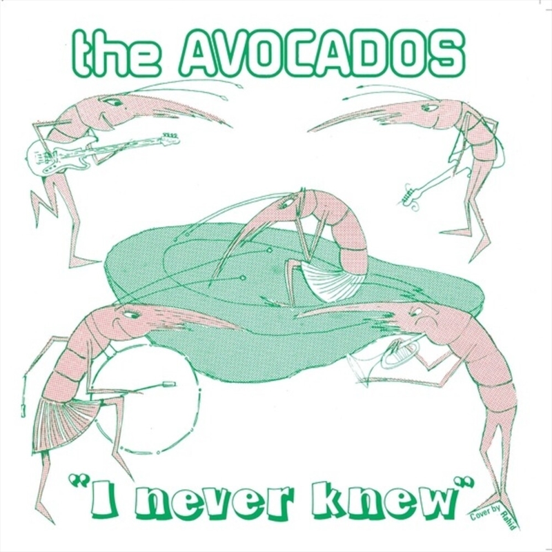 I Never Knew | Vinyl