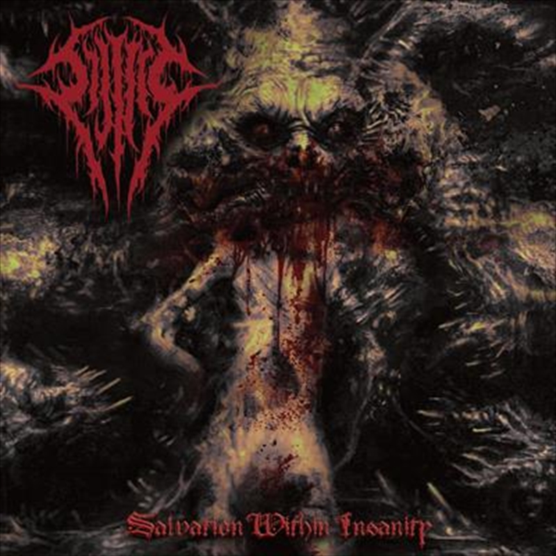 Salvation Within Insanity/Product Detail/Metal