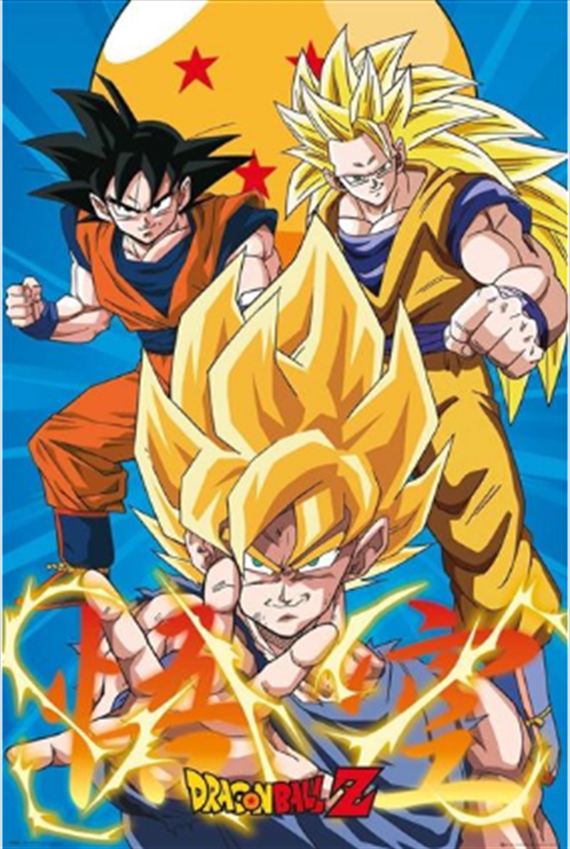 3 Gokus Evo | Merchandise