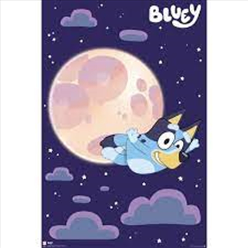 Buy Bluey Fruit Bat Online Sanity