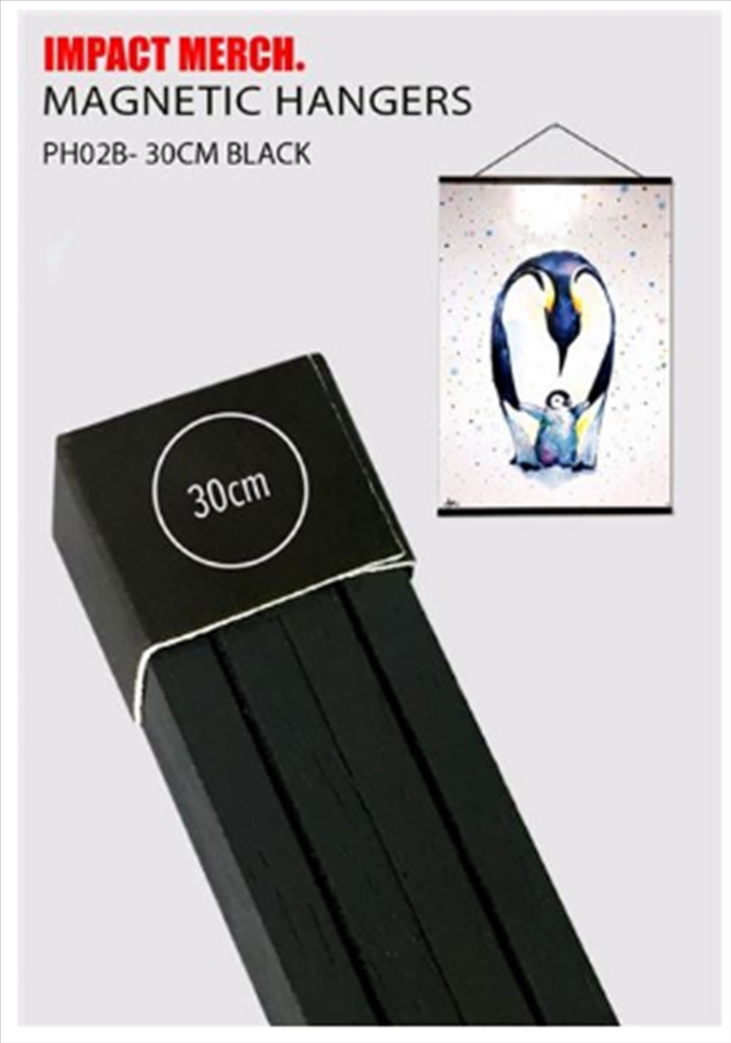 Wooden Hanger 30cm Black/Product Detail/Decor