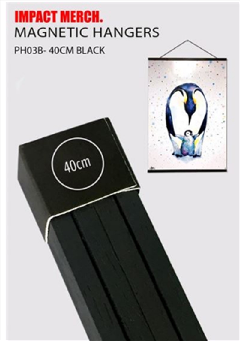 Wooden Hanger 40cm Black/Product Detail/Decor