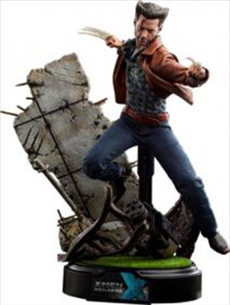 Wolverine 1973 1:6 Dlx Action/Product Detail/Figurines