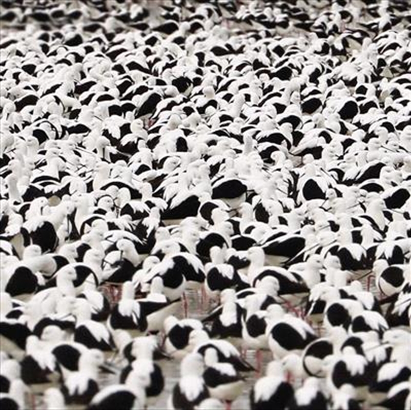 Flood/Product Detail/Alternative