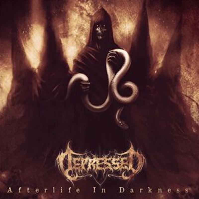Afterlife In Darkness/Product Detail/Metal