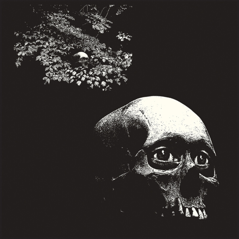 Foul Form/Product Detail/Rock/Pop