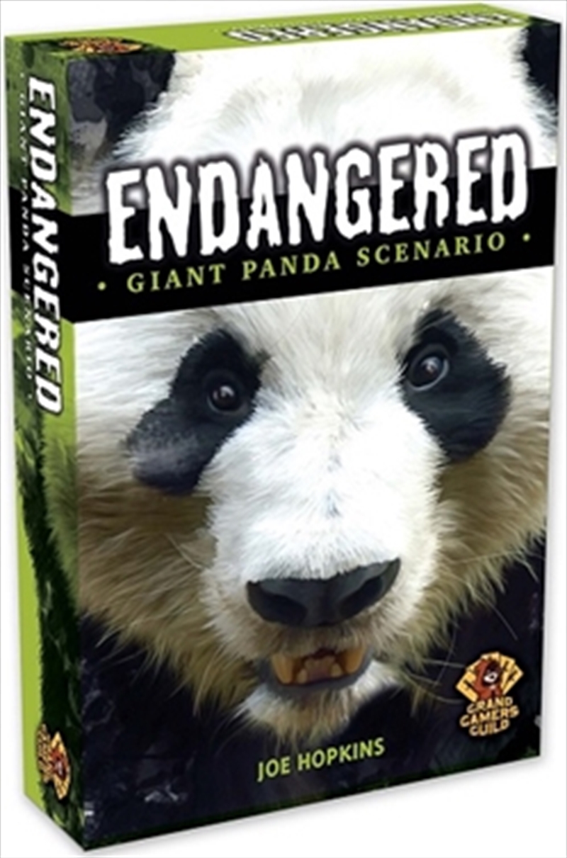 Giant Panda Scenario/Product Detail/Board Games