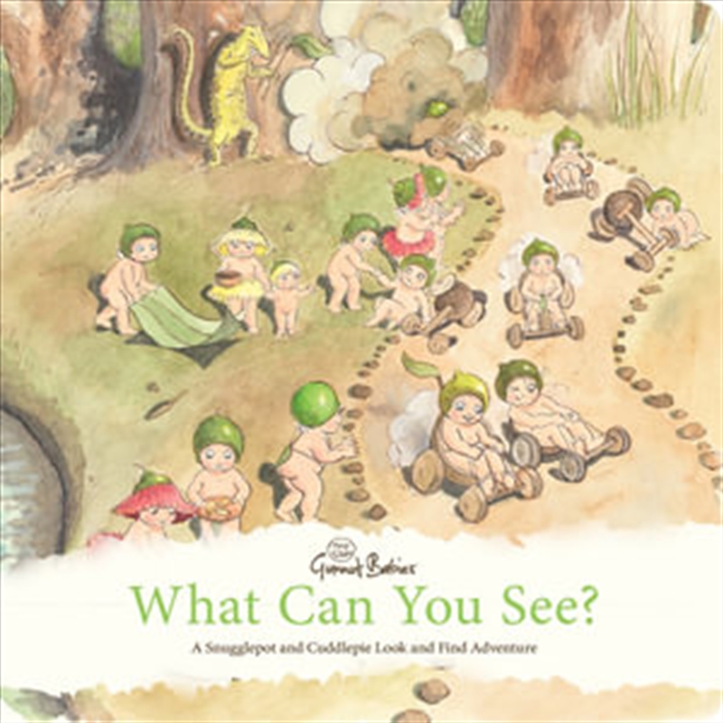 What Can You See? A Snugglepot/Product Detail/Childrens Fiction Books