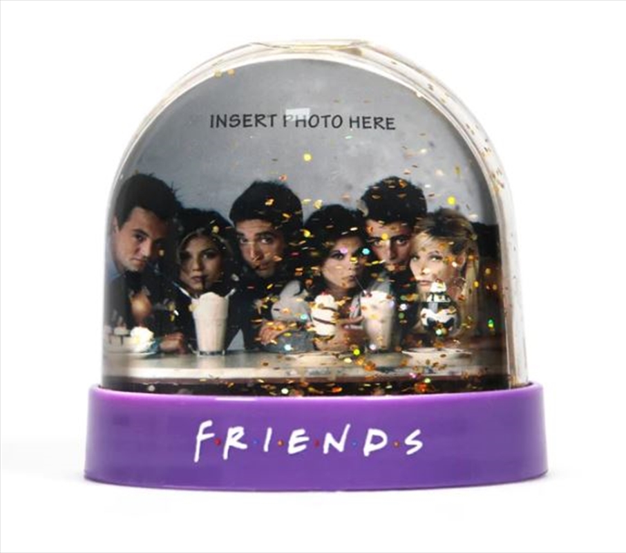 Friends - Friends Photo Snow Globe/Product Detail/Decor
