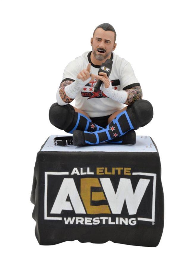 AEW - CM Punk Gallery PVC Statue/Product Detail/Statues