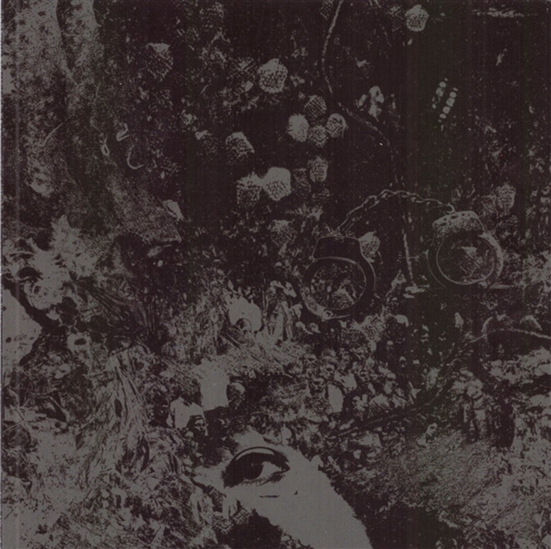 Split/Product Detail/Rock/Pop