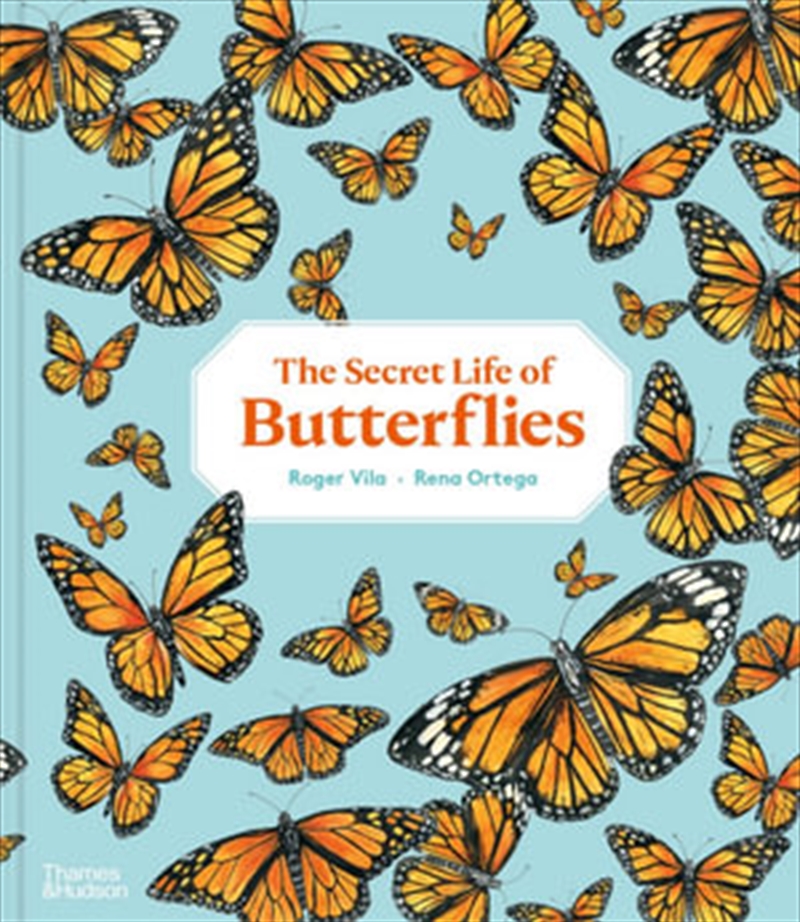 Secret Life Of Butterflies/Product Detail/Children