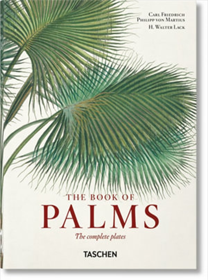 Von Martius Book Of Palms 40th/Product Detail/Science