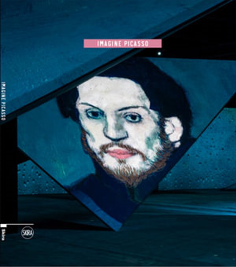 Imagine Picasso/Product Detail/Arts & Entertainment